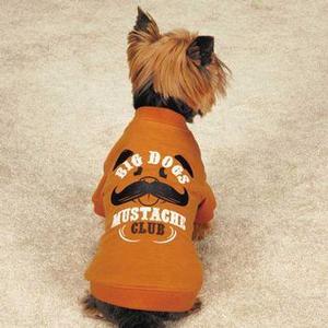 Image of Zack & Zoey Big Dogs Mustache Club Dog T-Shirt - Orange