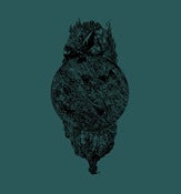 Image of AGARTTHA - A Water Which Does Not Wet Hands LP PREORDER