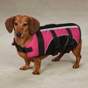 Image of Guardian Gear Brite Pet Preserver - Raspberry
