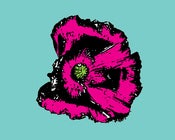 Image of poppy painting