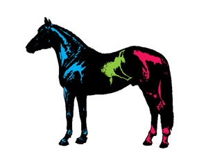 Image of horse of a different color painting