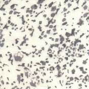 Image of Grey Confetti Sheets