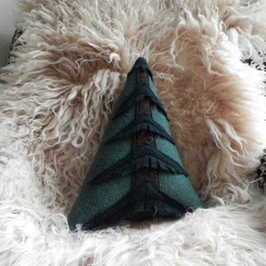 Image of the Evergreen