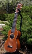 Image of Ohana SK-35G Solid Mahogany Soprano