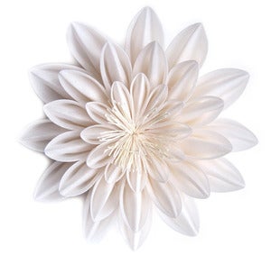 Image of I Do I Do I Do-blanc