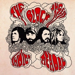 Image of THE BLACK ANGELS | INDIGO MEADOW LP 