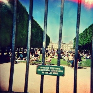 Image of TAME IMPALA | LONERISM LP 