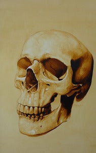 Image of Limited Edition "Anatomical Skull" Print