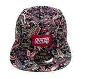 Image of OFFICIAL "PAISLEY" 5 PANEL CAMPER