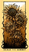 Image of "Bloom" Sunflower Poster (ROLLED)
