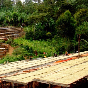 Image of Kochere: Ethiopia 350g
