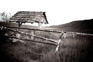 Image of Psycho