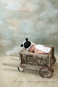Image of Fun for all Seasons! Distressed Wood with Chicken Wire Flower Cart