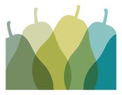 Image of SPRING PEARS