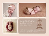 Image of Peahead Prints: Simply Stated Birth Announcement Template 1
