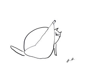 Image of Cat Bath