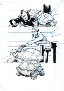 Image of Darwin: A Graphic Biography, pg48