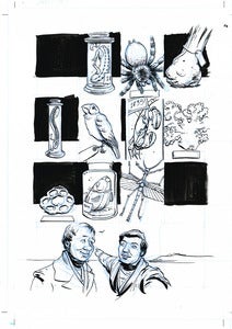 Image of Darwin: A Graphic Biography, pg55