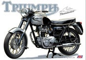 Image of 1966_Triumph_Thunderbird_6T_650_motorcycle_poster