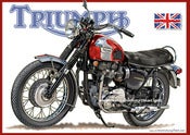 Image of 1969_Triumph_Bonneville_T120R_motorcycle_poster_art