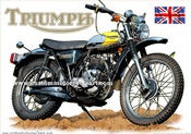 Image of 1974_Triumph_Adventurer_500_TR5T_scrambler_motorcycle_art_poster