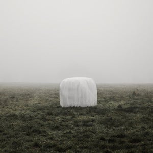 Image of Misty II