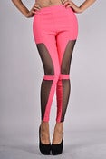 Image of Coral Sheer Leggings 