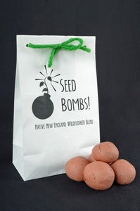 Image of Seed Bombs