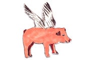 Image of Flying Pig magnet