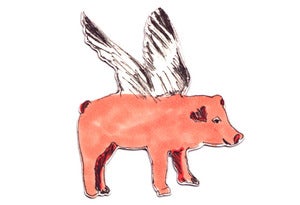 Image of Flying Pig magnet