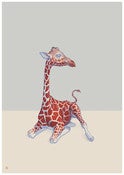 Image of Safari II