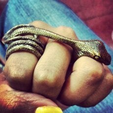 Image of 3 Finger Snake Ring 