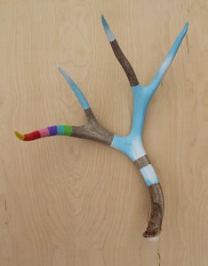 Image of Clouded Painted Antler