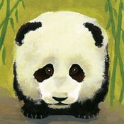 Image of PANDA CUB