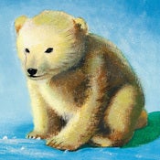 Image of POLAR BEAR CUB