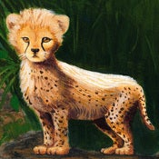 Image of CHEETAH CUB