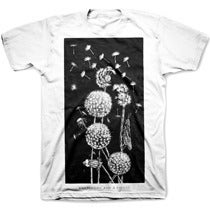 Image of DANDELIONS pre-order tee shirt