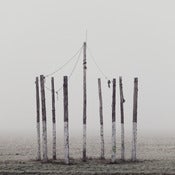 Image of This Dark Season 3