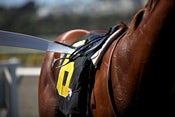 Image of Del Mar