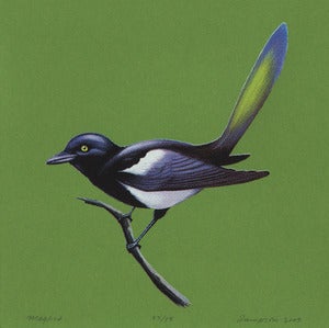 Image of Magpie Art Print