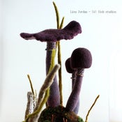 Image of SOLD  the darker corners - amethyst wool mushroom terrarium