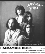 Image of HACKAMORE BRICK - "Oh! Those Sweet Bananas" 7"