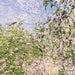 Image of Nick Hennies - Lineal