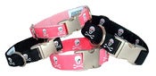 Image of Pirate Skulls - Dog Collar in the category  on UncommonPaws.com