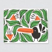 Image of Toucan