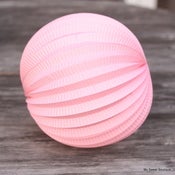 Image of Lampion rose 