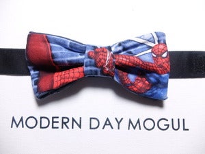 Image of Spiderman - In the City