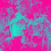 Image of Turnip King - Moon Landing? EP (Cassette)
