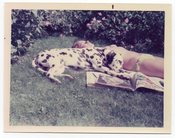 Image of BIKINI GIRL AND DALMATIAN DOG SUNBATHING VINTAGE COLOR SNAPSHOT PHOTO 