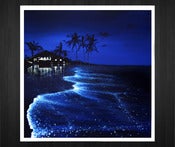 Image of "Midnight Rendezvous" Limited Edition Poster Print
